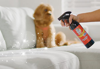 Polishing with Dr. Ruff's Pee Gone™