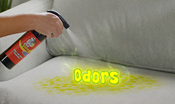 Spraying Dr. Ruff's Pee Gone™