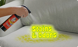 Spraying Dr. Ruff's Pee Gone™